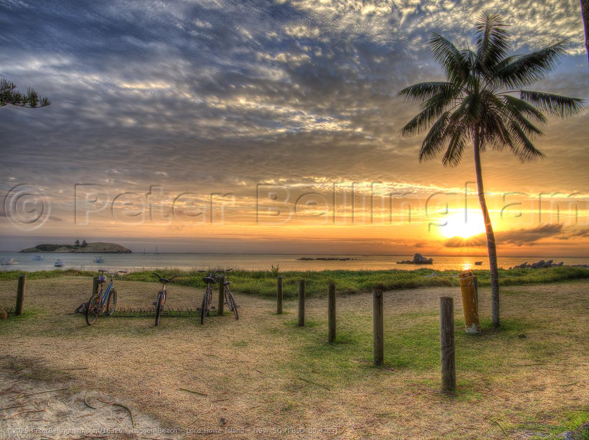 Peter Bellingham Photography Lagoon Beach - Lord Howe Island - NSW SQ (PB5D 00 4263)